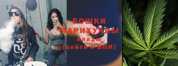 ECSTASY Вяземский